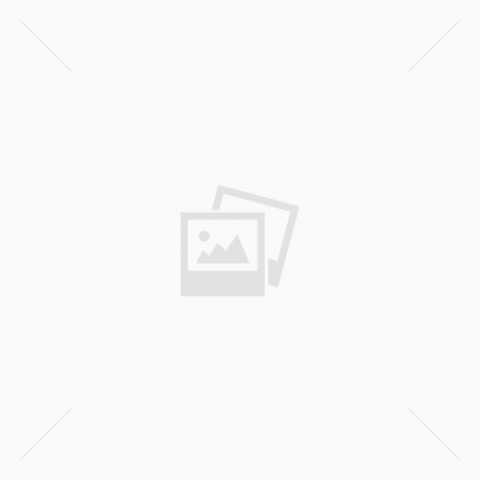 חנוכיה עץ המשפחה-צוקי